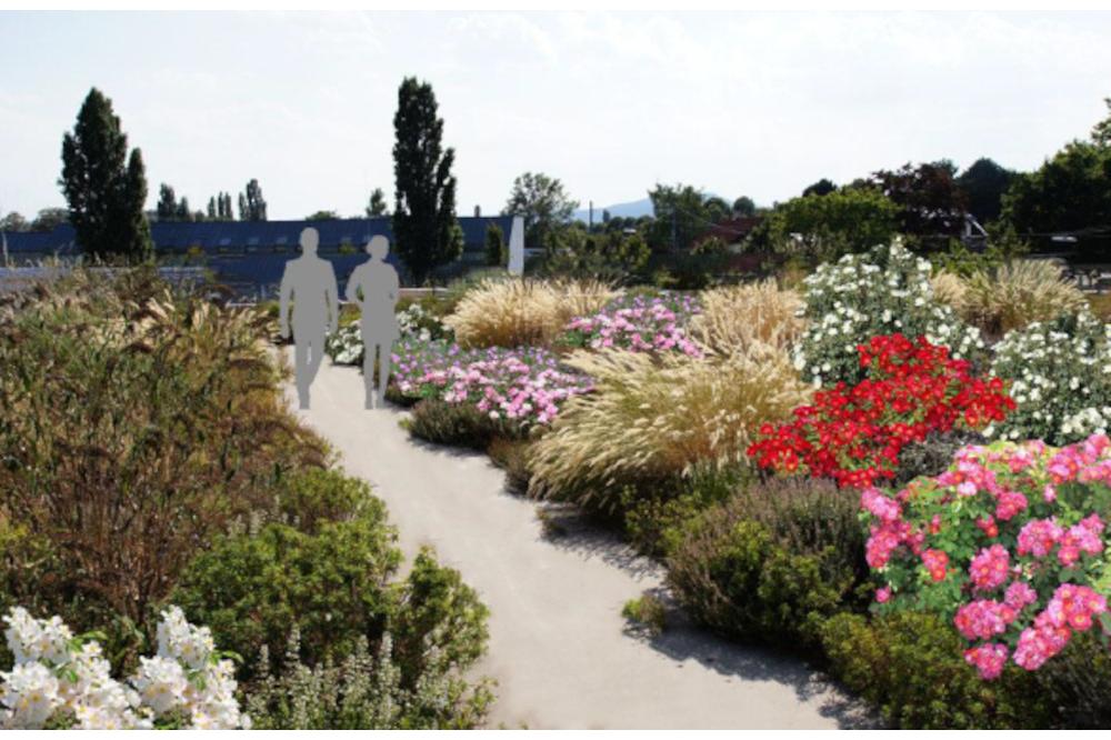 So wird Duisburg aufbl&uuml;hen